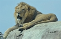 Kids_DZoo_Safari-I (118)